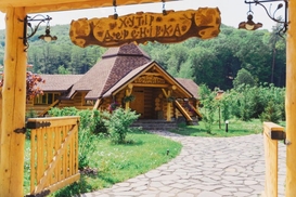 Перис Хилтон хочет купить элитный курорт в Закарпатье - СМИ