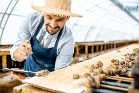 Как в Украине заработать на улитках