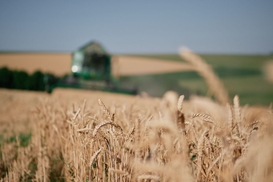 Агроперспективы-2020