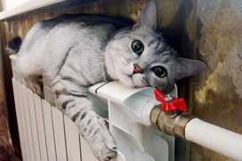 Стало известно, когда в Украине включат отопление