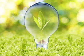 Изменение зеленых тарифов – это нарушение законодательства, - Чех