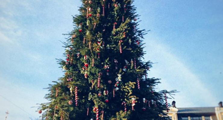 instagram.com/alex.averina