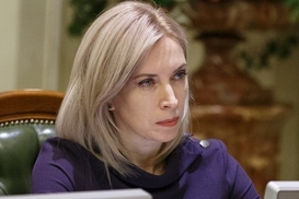 Глава энергетического комитета ВР Андрей Герус установил диктатуру в комитете - депутат СН