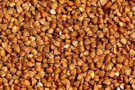 Гречка продолжает дорожать