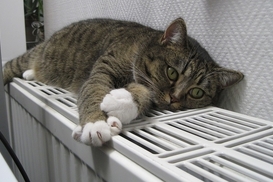 Когда в Украине выключат отопление