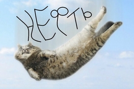 "Дешевле гречки": В Сети высмеяли рекордное падение нефти