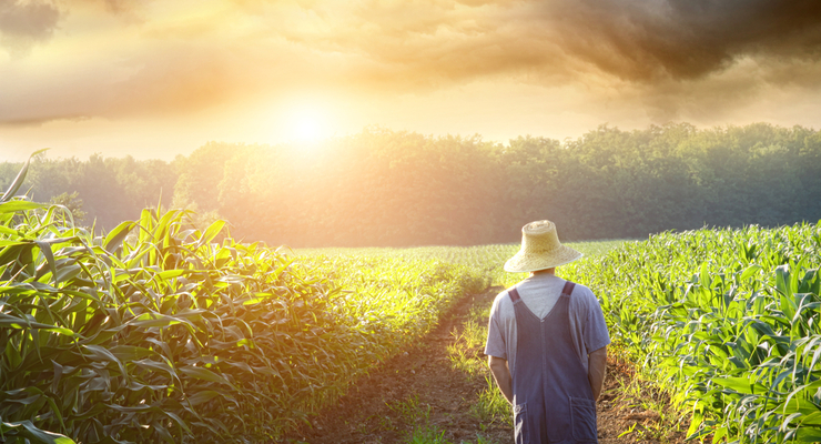 В Украине хотят открыть рынок земли / depositphotos.com