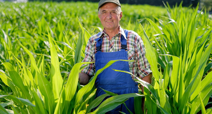 Фермерам должны помочь / depositphotos.com