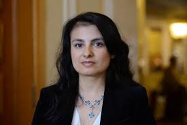 ДТЭК Ахметова в 2016-2019 годах вывел миллиард долларов скрытыми дивидендами, - Войцицкая