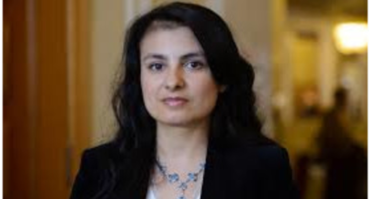 ДТЭК Ахметова в 2016-2019 годах вывел миллиард долларов скрытыми дивидендами, - Войцицкая