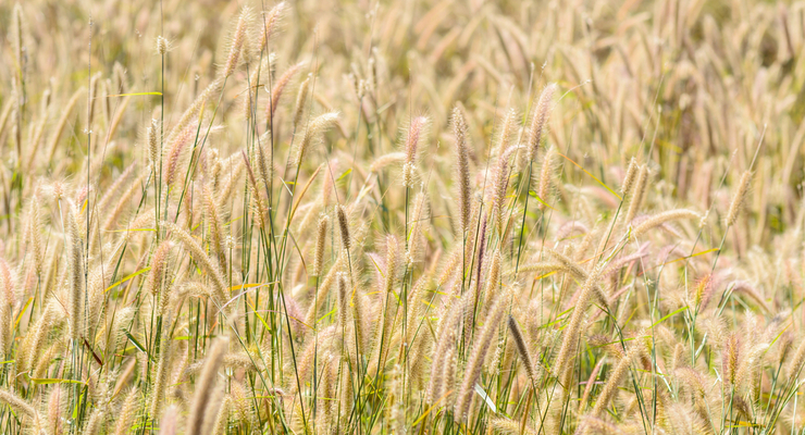 Иллюстративное фото / depositphotos.com