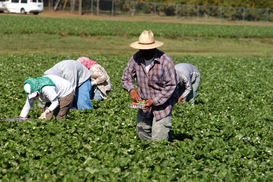 Какие вакансии в 2020 году востребованы за границей: Список
