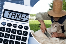 Велика стрижка