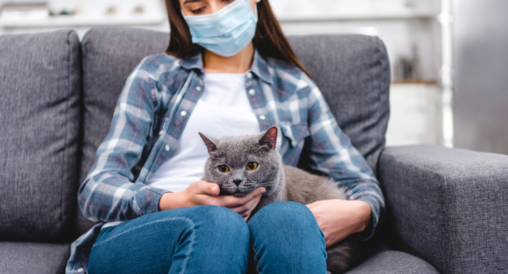 Иллюстративное фото / depositphotos.com