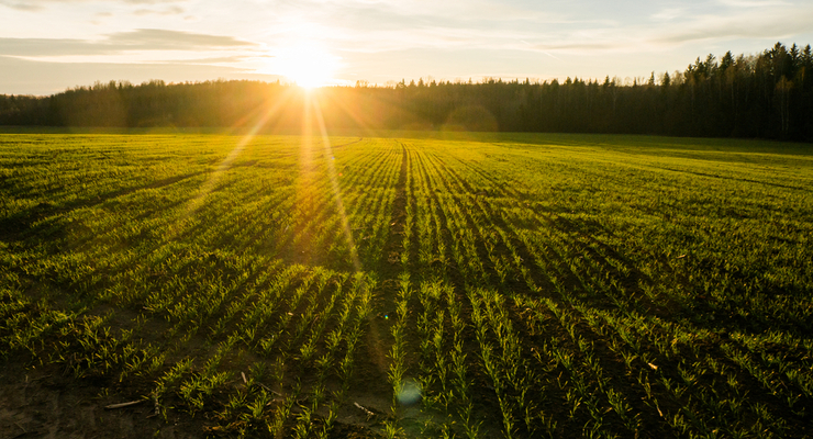 Иллюстративное фото / depositphotos.com
