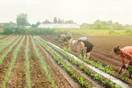 Украинцы бегут из страны на заработки: Кто и куда едет