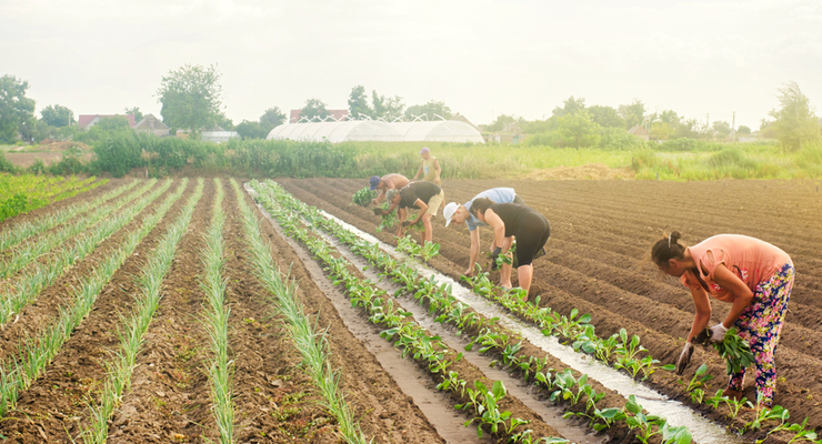 Иллюстративное фото / depositphotos.com