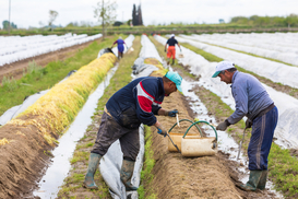 Украинцы продолжают перебираться в Польшу на заработки