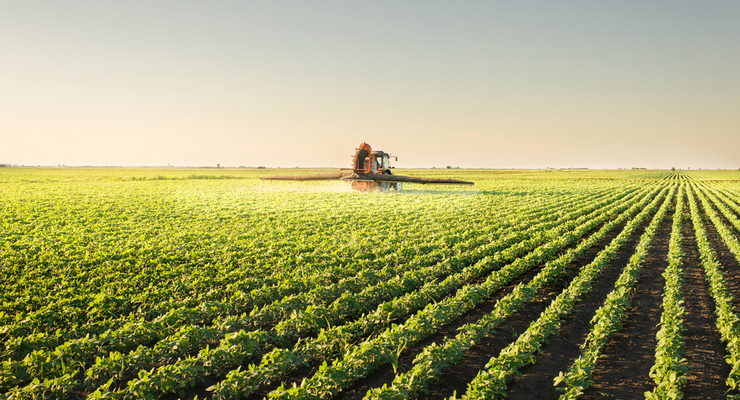 Иллюстративное фото / depositphotos.com