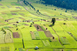 Цена украинской земли в 2021 году: В Минагрополитики озвучили цифру