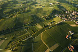 Налог на землю в Украине 2021: Как рассчитать и оплатить