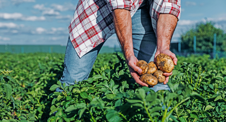 Иллюстративное фото / depositphotos.com