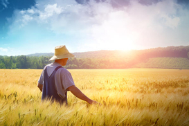 Аграрии в Украине получают от 7 до 50 тыс гривен в месяц