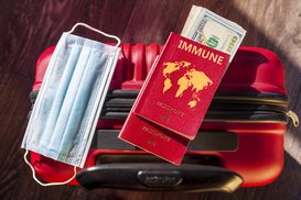 Украина и ЕС будут разрабатывать совместимый COVID-паспорт для путешествий