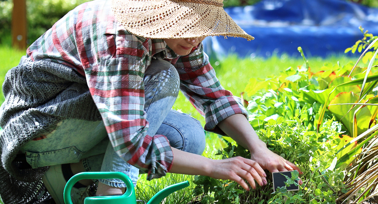 Иллюстративное фото / depositphotos.com