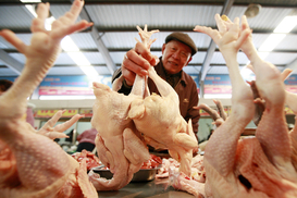 Цены на курятину в Украине сильно поднялись: сколько стоит килограмм мяса