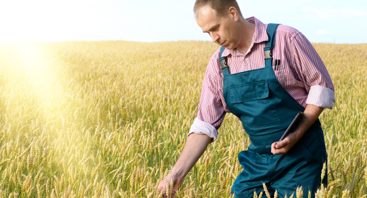 Новый налог будут платить аграрии  / depositphotos