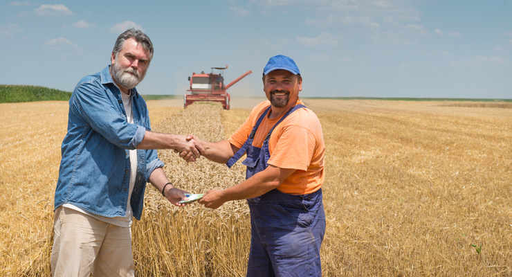 Землю могут конфисковать за нарушение правил ее продажи / depositphotos