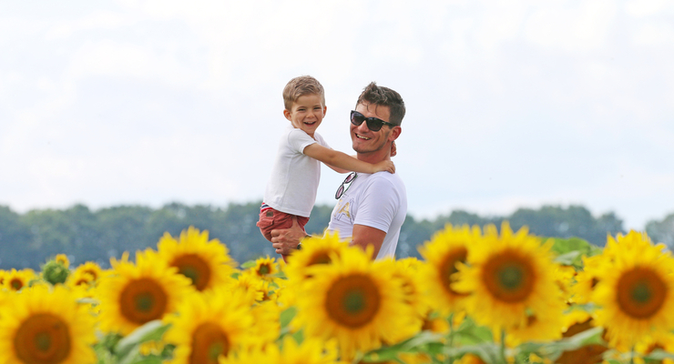 Украинцы могут получить целый набор земельных участков / depositphotos