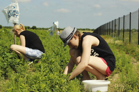 Сколько украинцев платят налоги в Польше: Названы цифры