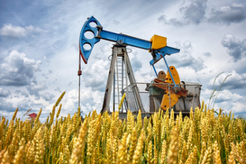 Цены на нефть 12.07.2021: Топливо снова дешевеет