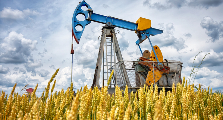 Иллюстративное фото / depositphotos