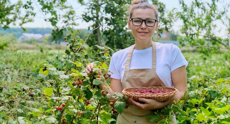 Иллюстративное фото / depositphotos