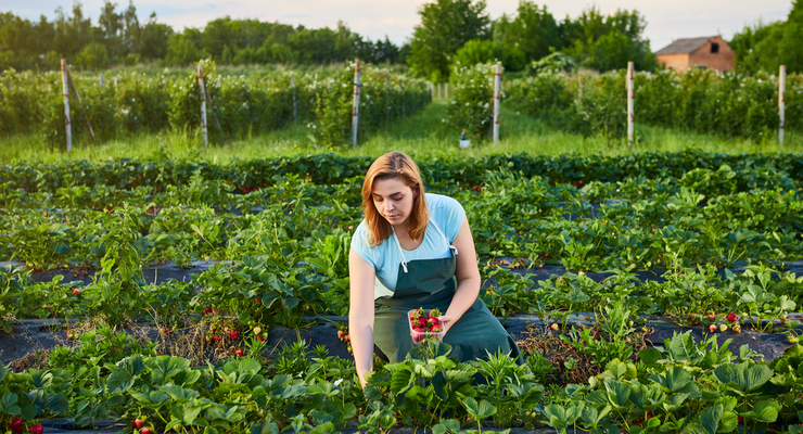 Не все заробитчане платят налоги  / depositphotos