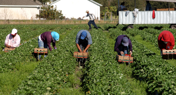 В Минэкономики считает, что многие заробитчане возвращаются / depositphotos