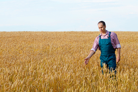 Все украинцы обязаны платить налоги на землю: в Минюсте рассказали, сколько и как