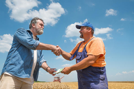 Сколько украинцы уже заработали на рынке земли: цифры