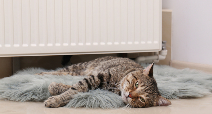 Местные власти решат, когда включать отопление / depositphotos