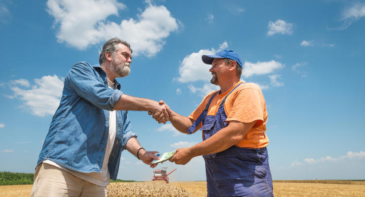 Украинцы активно продают землю / depositphotos