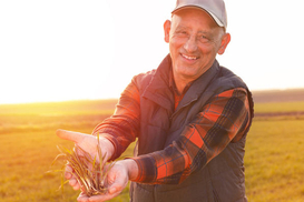 Рынку земли 100 дней: сколько гектаров продали и по какой цене