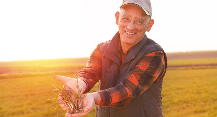 Украинцы активно заключают сделки купли-продажи земель / depositphotos