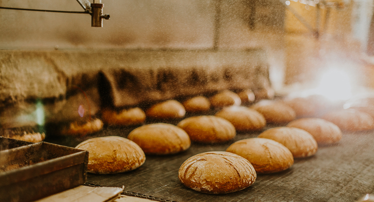 Иллюстративное фото / depositphotos.com