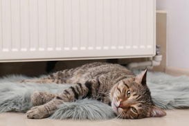 Когда в Киеве включат отопление в домах: в КГГА назвали точную дату