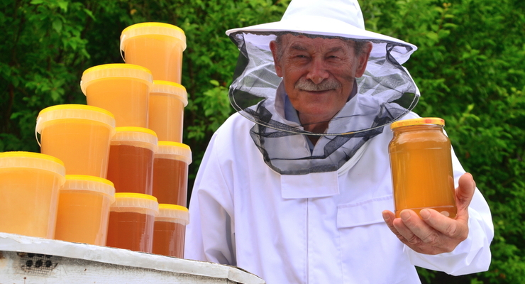 Украинец открыл пасеку за государственные деньги / depositphotos