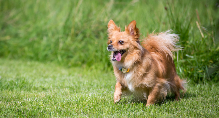 Иллюстративное фото / depositphotos