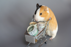 Цены в Украине в 2022 году будут только расти - прогноз